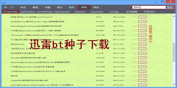 迅雷bt种子下载网站资源助手截图