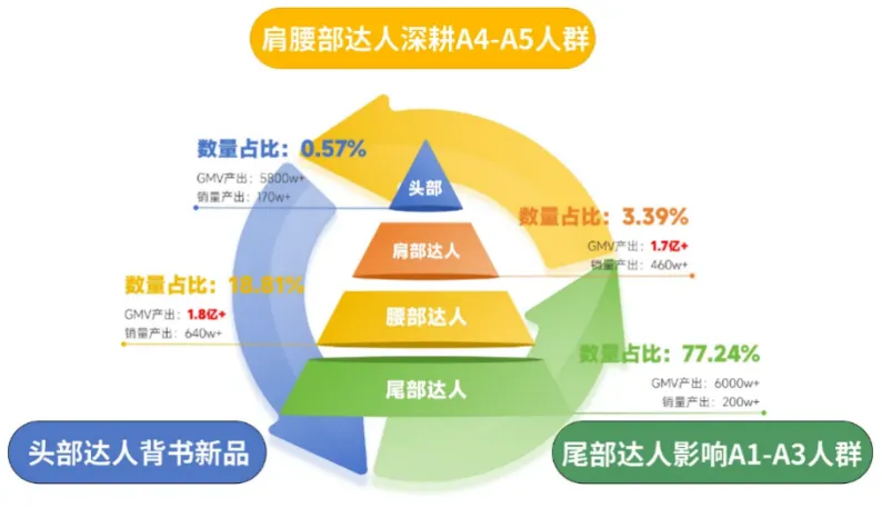 ▲诺特兰德合作达人量级分布与GMV占比，图源剁椒Spicy