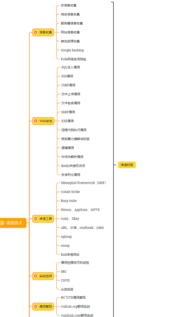 10大漏洞评估和渗透测试工具