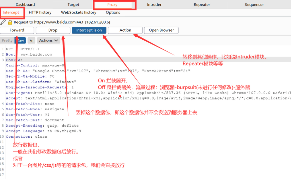 【2024版】最新BurpSuit的使用教程（非常详细）零基础入门到精通，看一篇就够了！让你挖洞事半功倍！