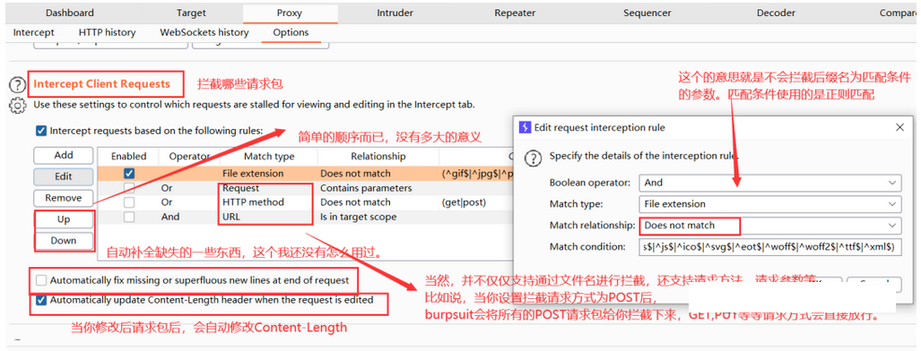 【2024版】最新BurpSuit的使用教程（非常详细）零基础入门到精通，看一篇就够了！让你挖洞事半功倍！