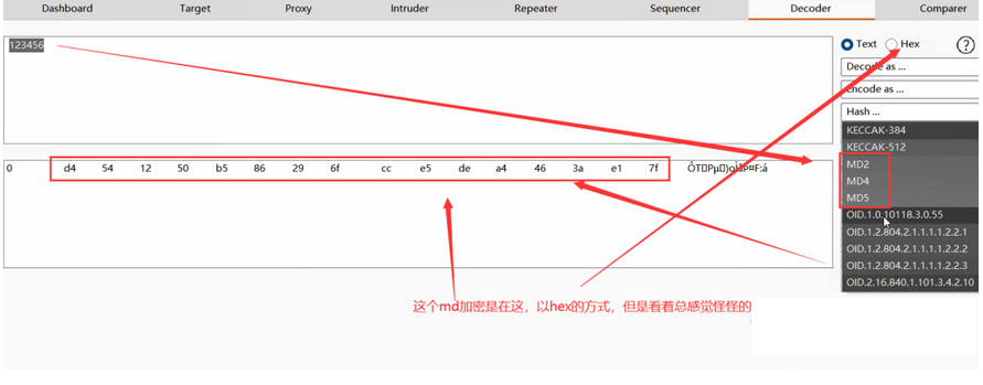 【2024版】最新BurpSuit的使用教程（非常详细）零基础入门到精通，看一篇就够了！让你挖洞事半功倍！