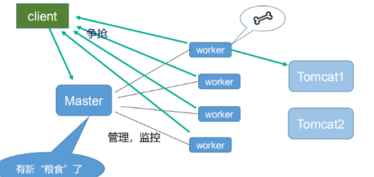 你真的了解负载均衡中间件nginx吗？