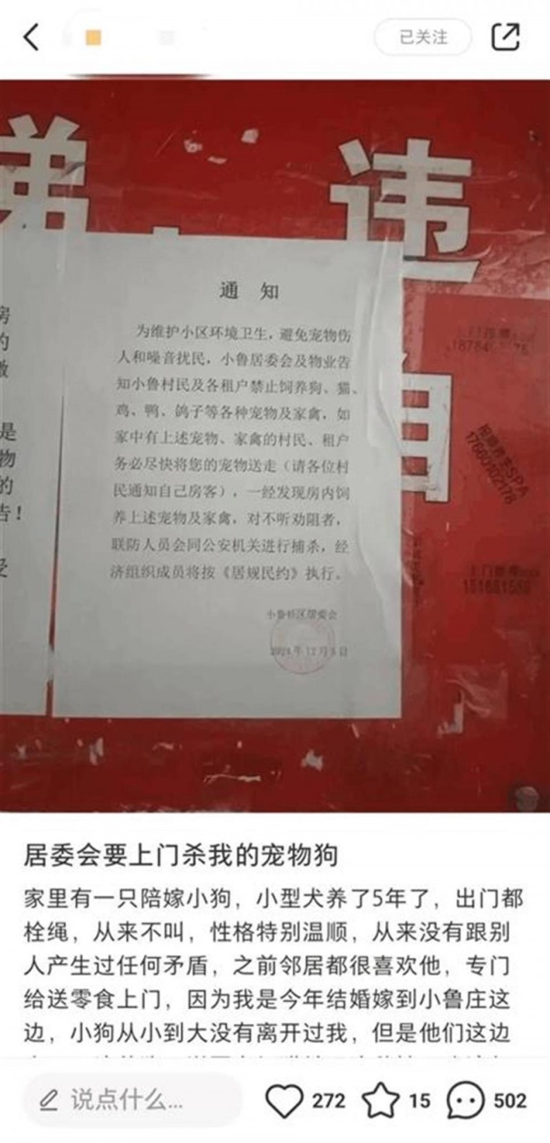 “捕杀宠物家禽”通知惹争议，不仅是措辞不当