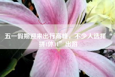 五一假期迎来出行高峰，不少人选择“拼4休11”出游
